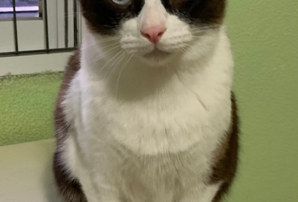 Max